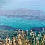 فيلة Vh Costablanca - Carmen