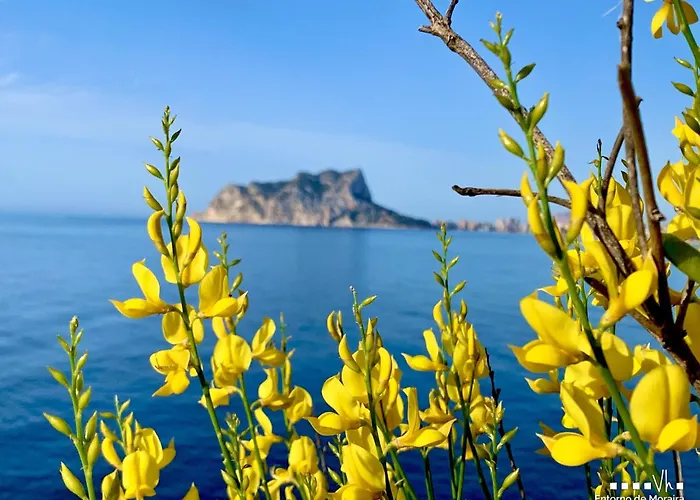 Vh Costablanca - Carmen Villa